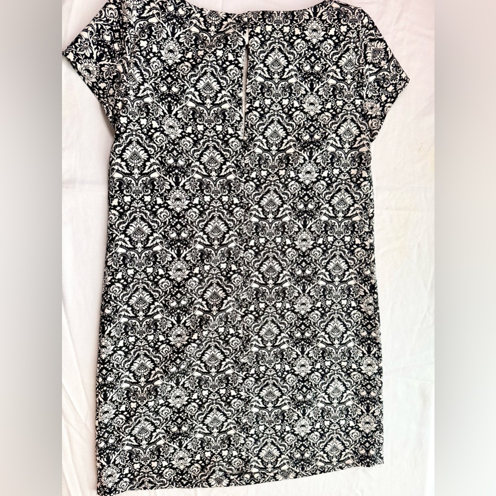 Zara Woman Black and White Floral Damask Dress